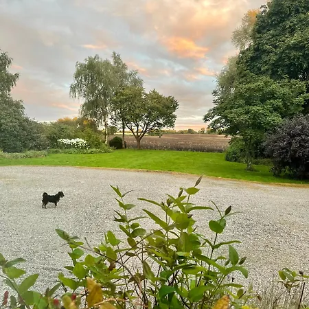 Charming 1 Bed Georgian In Kildare Apartman *