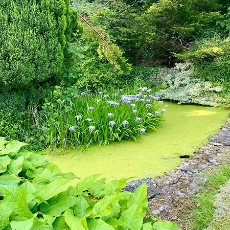 Charming 1 Bed Georgian In Kildare Apartman Timahoe