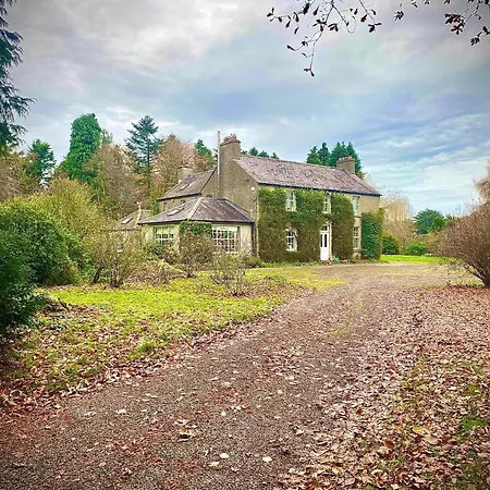 Charming 1 Bed Georgian In Kildare Apartment