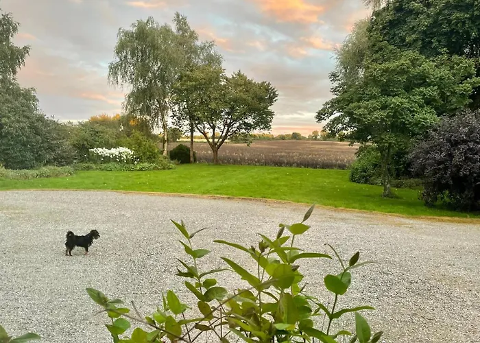 Charming 1 Bed Georgian In Kildare Apartment *