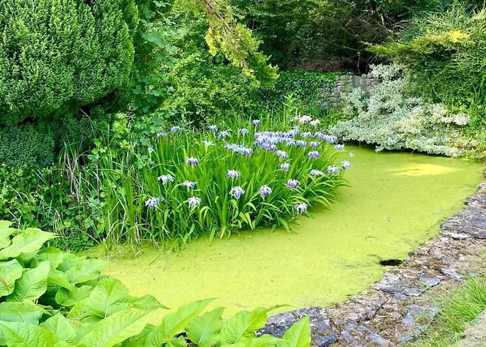 Charming 1 Bed Georgian In Kildare Apartment Timahoe