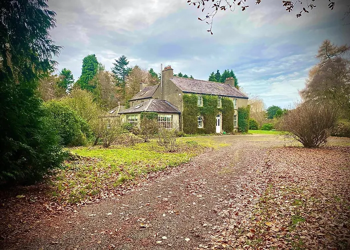 Charming 1 Bed Georgian In Kildare 公寓